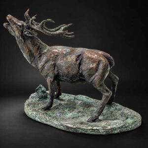 Venado Berrea