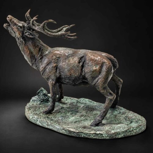 Venado Berrea