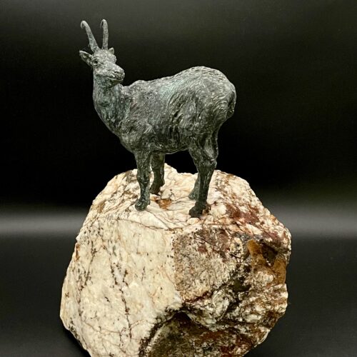 Rebeco en pendiente sobre Roca Natural con tonos férricos